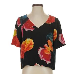 Aritzia Babaton Randy Blouse (M)